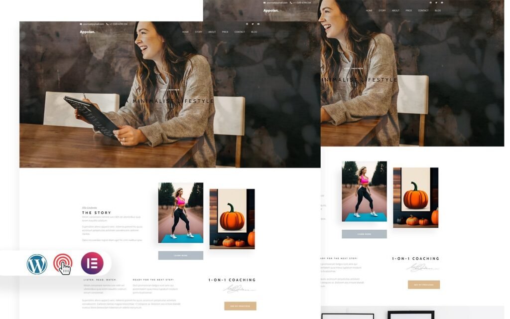 Appolan – 多功能单页面WordPress主题