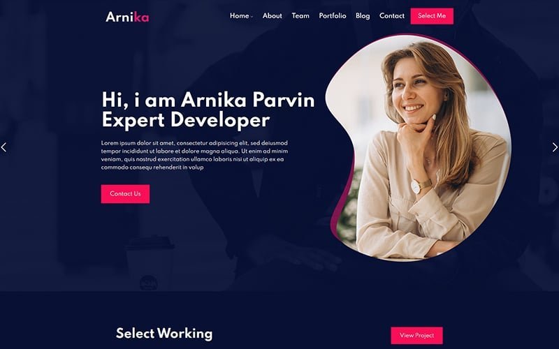 Arnika – 个人创意响应式 WordPress 主题