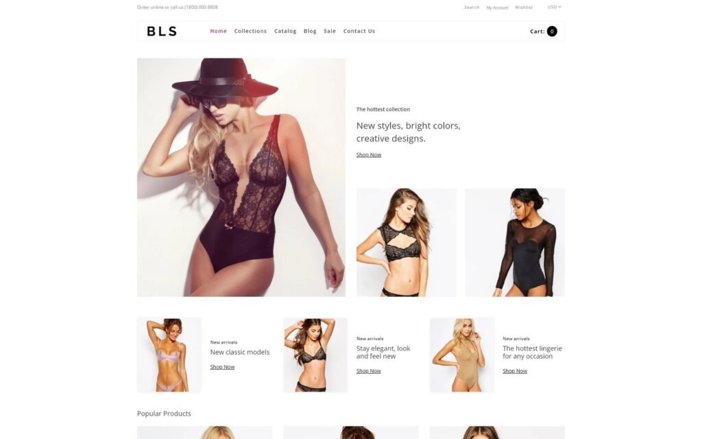 BLS – 内衣电子商务干净的Shopify主题