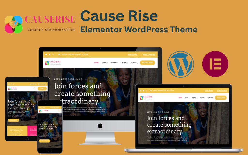 Cause Rise- 慈善和捐赠 Elementor WordPress 主题