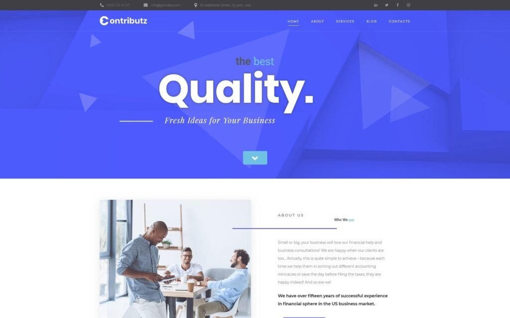 Contributz – 企业咨询 WordPress Elementor 主题