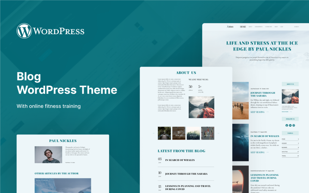 Cutura – 现代博客 WordPress 主题