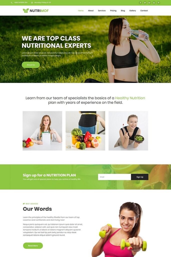 Nutrimof – 营养与健康的WordPress主题