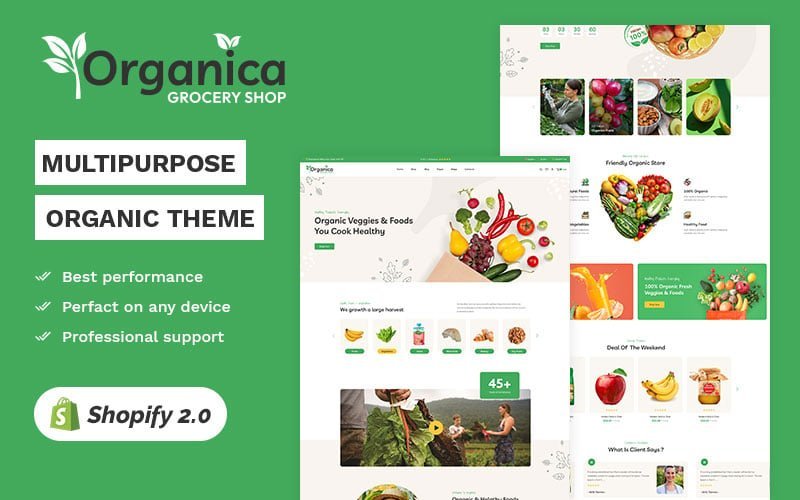 Organica – 有机水果和杂货店 高级Shopify 2.0 多功能响应主题