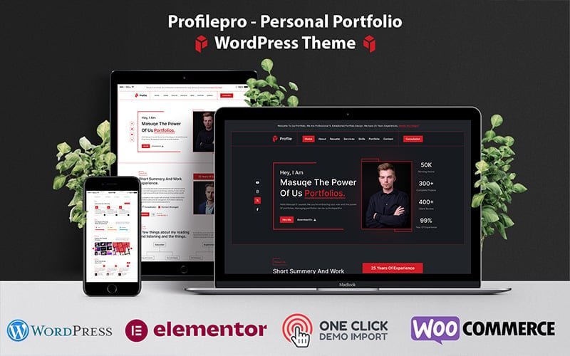 Profilepro是一款个人简历WordPress主题，可用于创建个人作品集和展示个人信息。