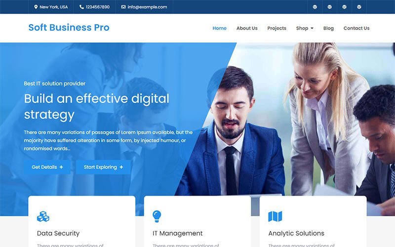 Soft Business Pro – 清新现代的WordPress商业主题