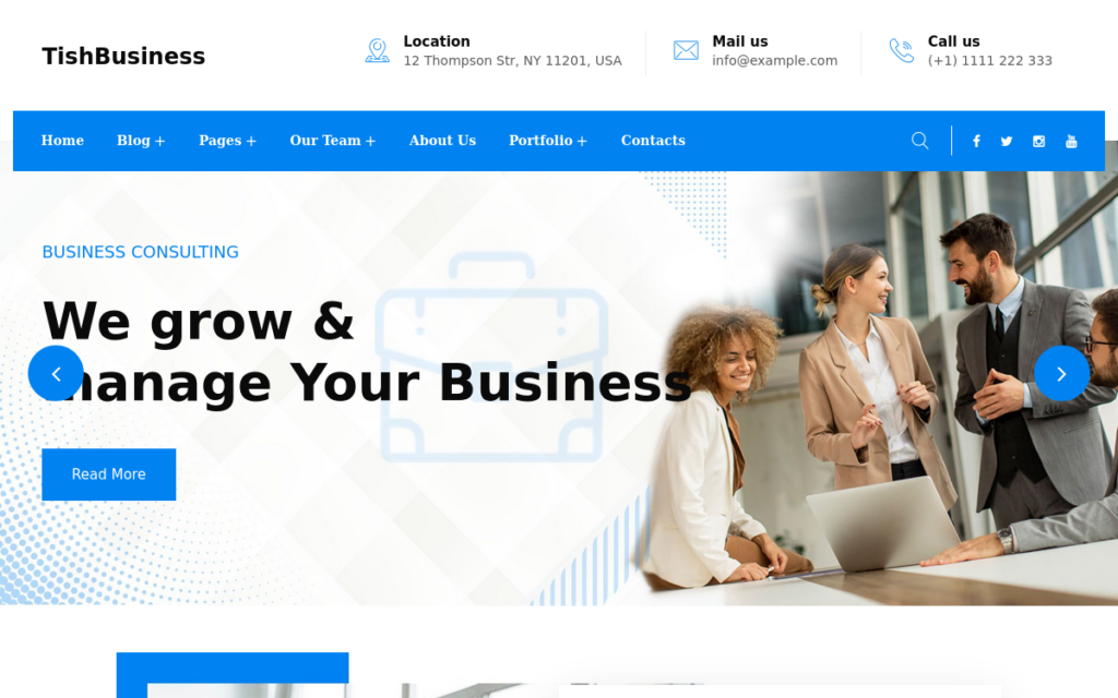 TishBusiness – 企业和商业WordPress主题