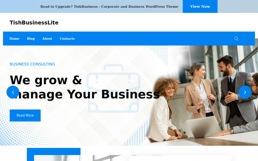 TishBusinessLite – 免费的企业和商业WordPress主题