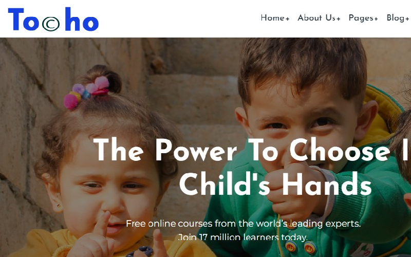 Tocho – 慈善和非营利性WordPress主题