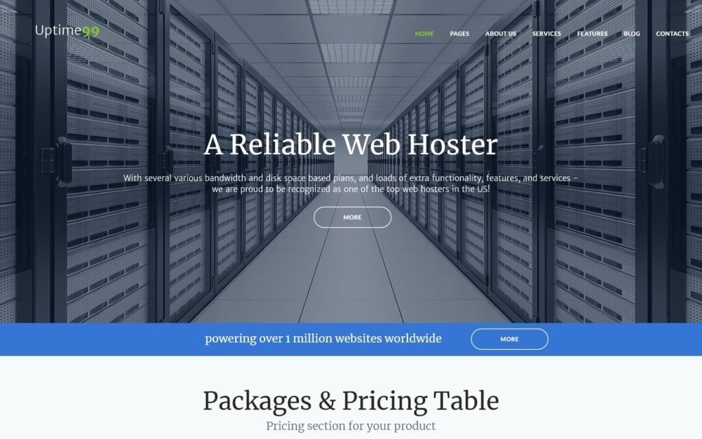 Uptime99 – 网站空间 WordPress 主题