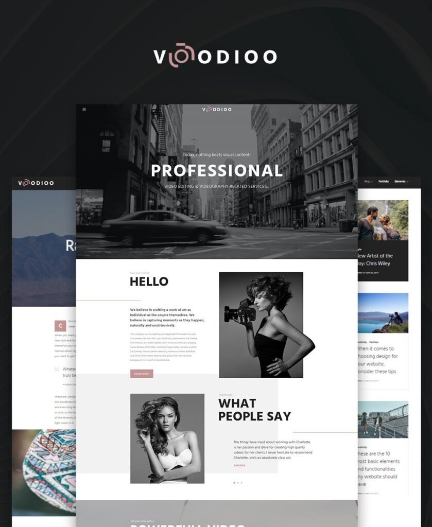 Voodioo – 视频摄影师响应式WordPress主题