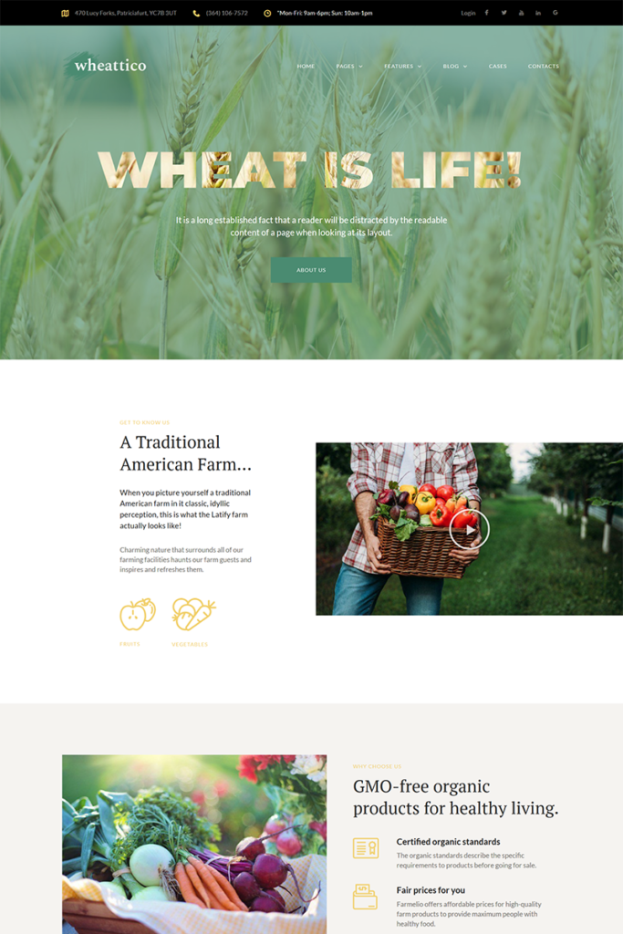 Wheattico – 农作物农场响应式WordPress主题
